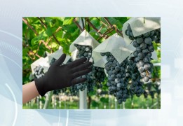 農作物盗難防止ソリューション